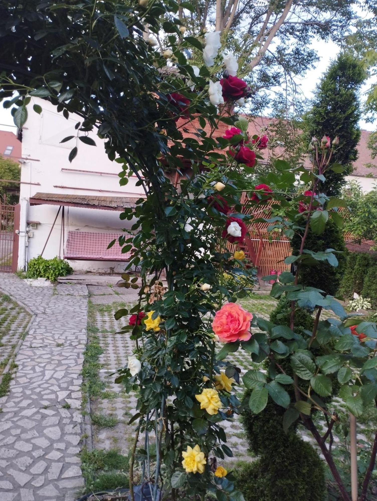 Pensiunea Sub Cetate Deva Exterior photo