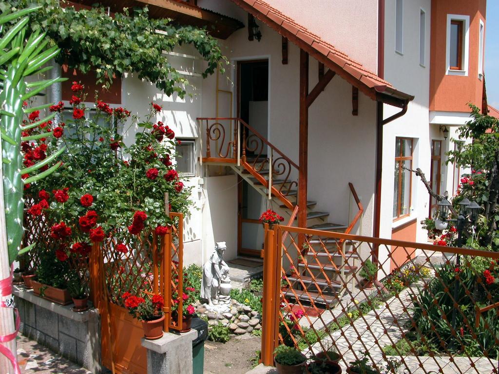 Pensiunea Sub Cetate Deva Exterior photo